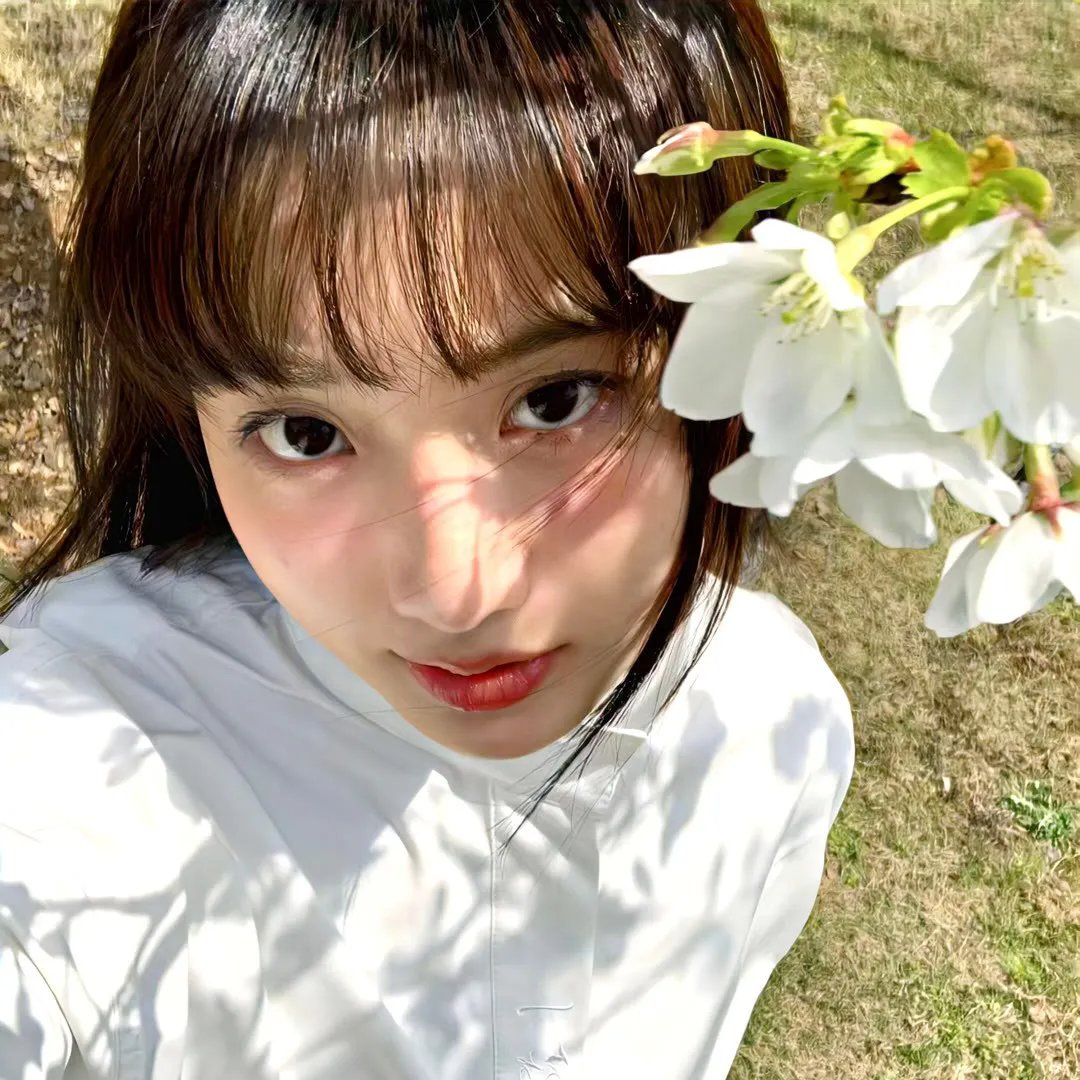 辛巴达历险